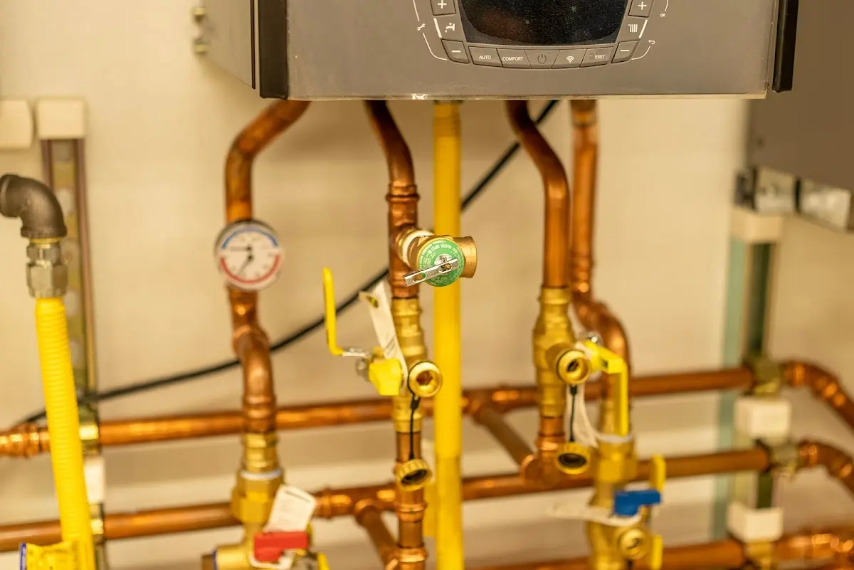 Licensed technician providing Sump Pump Repair for a homeowner in Paloma Creek South